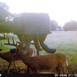 Trail Camera[MP:03][TP:076F]